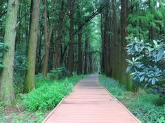 -同里国家湿地公园