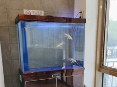 -九田家黑牛烤肉料理(珠江摩尔店)