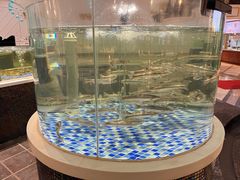 -海鲜码头