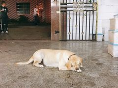 -杨厝六十六农庄农舍(杨厝路店)