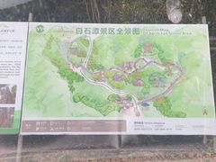 -霸王岭国家森林公园