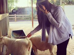 -费瑟代尔野生动物园