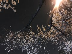 -雍和宫(地铁站)