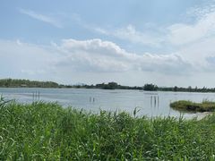 -芒洲湿地公园