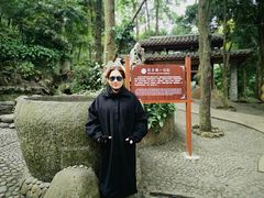 -伊岭岩风景区