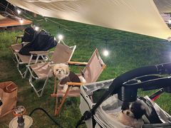 -不觉晓CAMPING(上海迪士尼营地店)