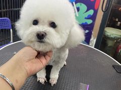 -美联众合动物医院(唯恩分院)