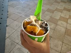 -Salud撒露欧洲冻酸奶(蓝色港湾店)