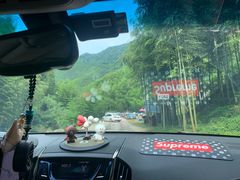 -将军关探险漂流