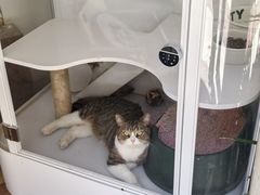 -Osteria Garden 生蚝花园餐厅(原进贤路店)