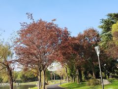 -高子水居