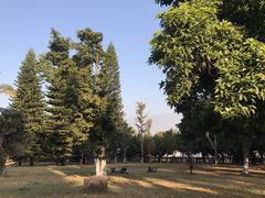 -攀枝花公园