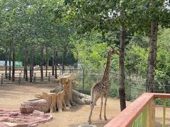 -大连森林动物园