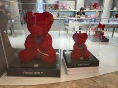 -ROSEONLY诺誓(广州K11店)
