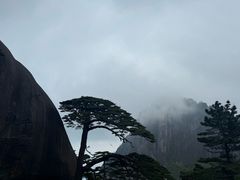 -黄山风景区