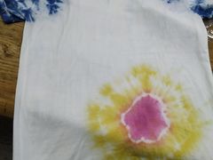 -田园东方蜜桃村的田野营地