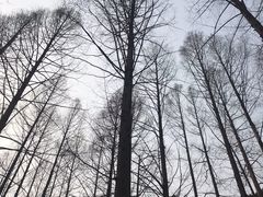 -国家植物园