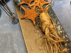 -千岛蚝高压锅生蚝·人参火锅(白云万达店)