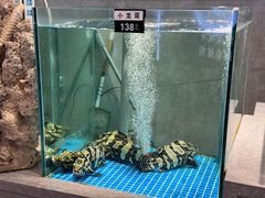 -宴小馆·小海鲜青岛菜(五四广场店)