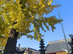 -上海青龙寺