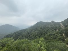 -大岭沟猕猴桃谷风景区