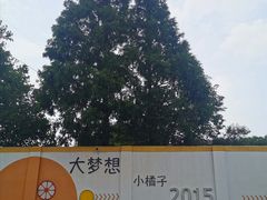 -前小桔亲子创意农场·草莓采摘·露营烧烤