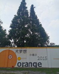-前小桔亲子创意农场·草莓采摘·露营烧烤