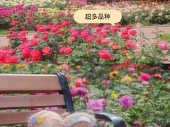 -睦南公园
