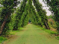 -黄腾峡生态旅游区