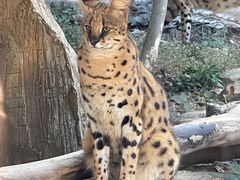 -杭州野生动物世界