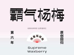 -奈雪的茶(华侨城创意园店)