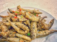 椒盐九肚鱼-醉贤居
