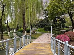 -后襄河公园