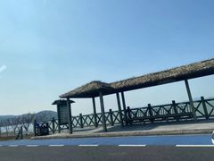-苏州太湖西山岛开心农场