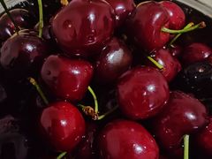 -清真·田园居家酸菜牛肉烤火锅(凤霞路店)