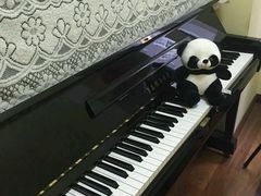 android_upload_pic-梅纳·钢琴声乐架子鼓Mena Music(双井店)