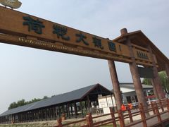 白洋淀风景区-白洋淀景区