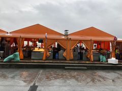 -沈家门海鲜夜排档(东港店)