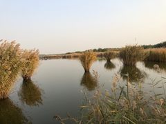 -西青郊野公园