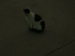 -百年尹氏汤包(湖南路狮子桥店)