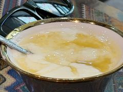 -古树酸奶(八廓南街店)