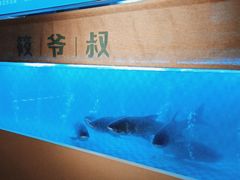 -筱爷叔·上海传统手工菜(玉树路店)