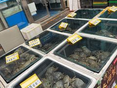 -四道口水产市场