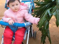 -北戴河集发农业梦想王国