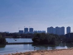 -青枫公园