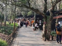 -普陀山风景区-佛顶山