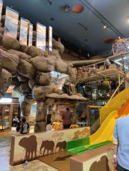 -卡通尼·Safari非洲探索乐园·生日会(金桥国际商业广场店)