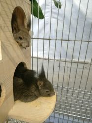 -周忆刺青原创设计定制