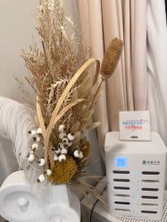 -四七美学·半永久纹眉