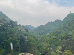 -黔灵山公园